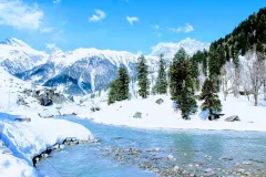 Sonamarg in winter