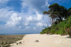 A beach on Neil Island (Shaheed Dweep)