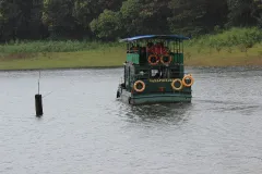 Boat ride on Periyar Lake, Thekkady