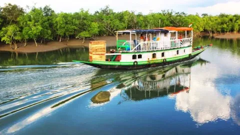 Sundarban Tour from Kolkata (2 Nights / 3 Days) – photo 4