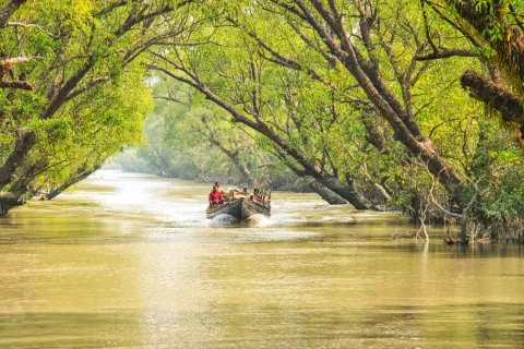 Sundarban Tour from Kolkata (2 Nights / 3 Days) – photo 3