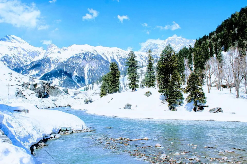 Snow, pine trees and a mountain stream at Sonamarg in Kashmir