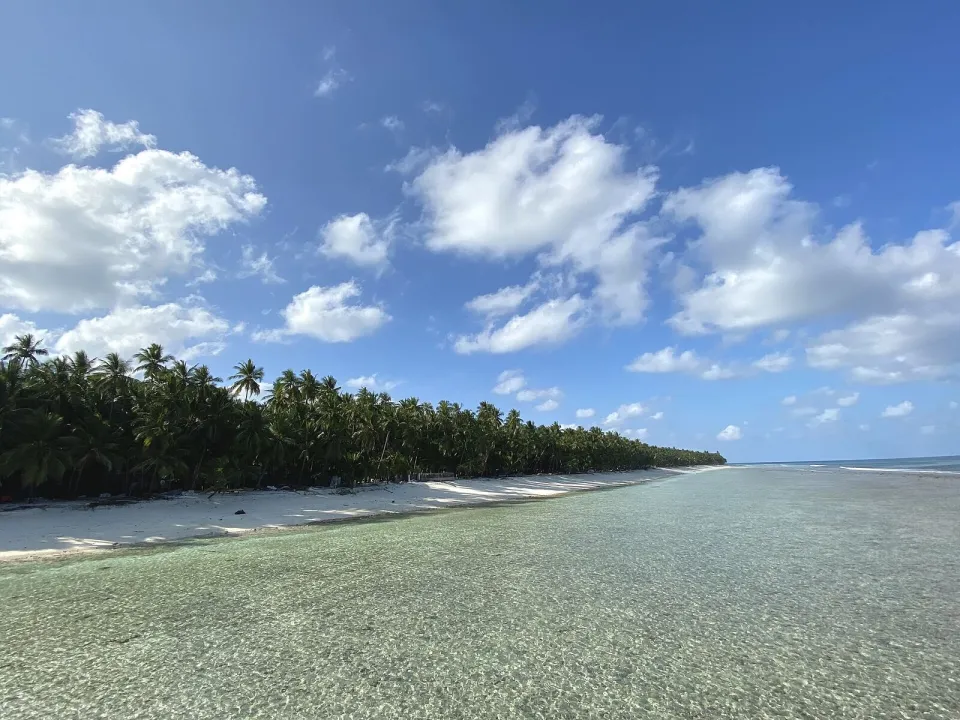 Clear shallow lagoon water and a palm-lined shore on Agatti Island, Lakshadweep