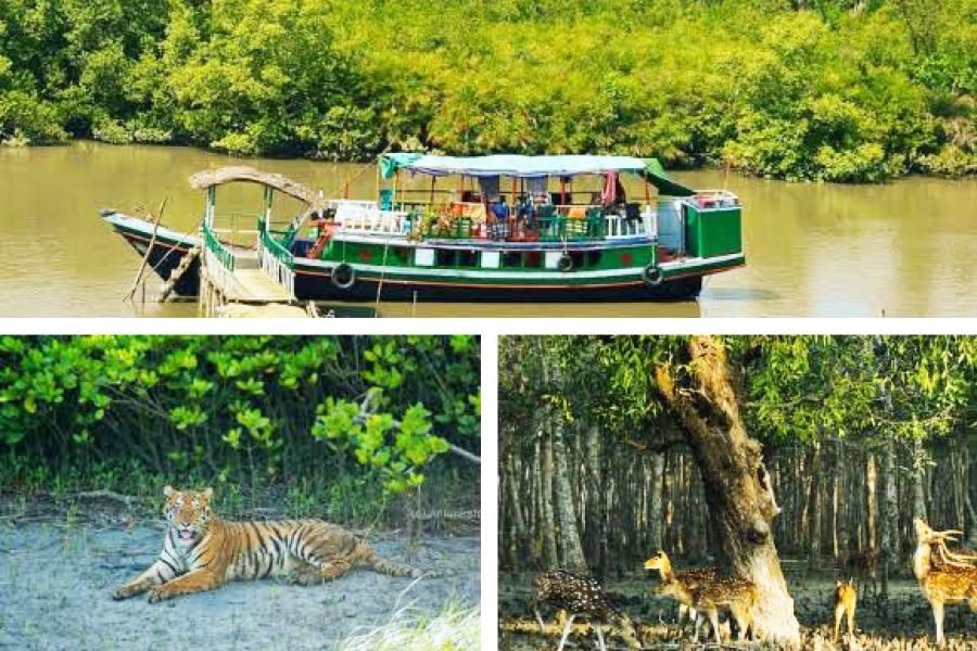 SUNDARBAN Tour