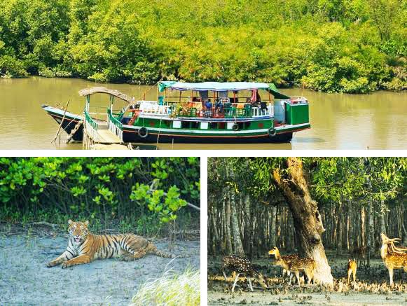  Day 2: Full-Day Jungle Safari by Boat