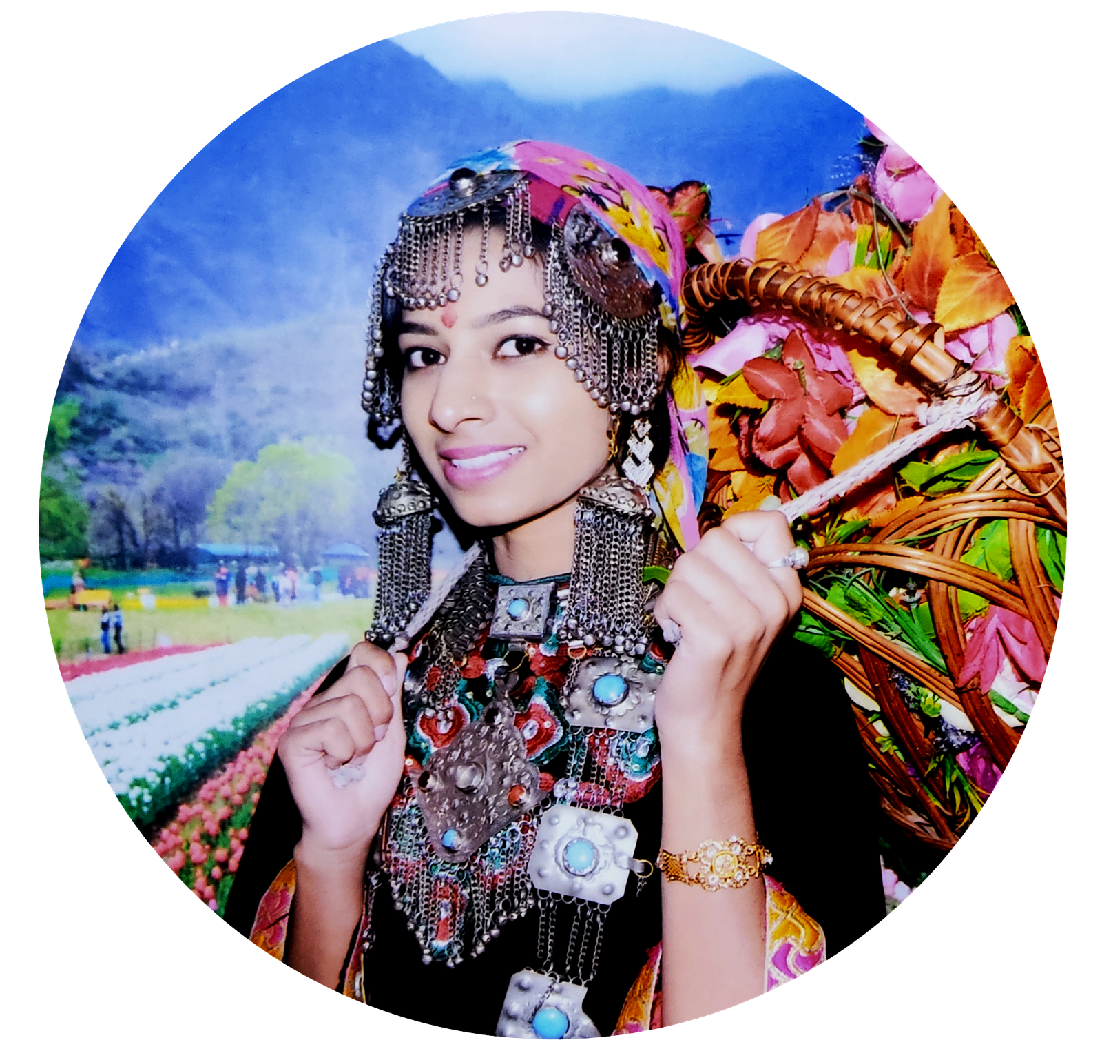 Tour & Travels Website